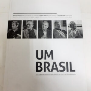 Um Brasil análises e discussões sobre um povo em busca de uma identidade